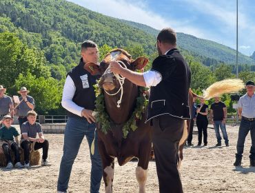 🐂🌿 Schon ein Monat ist vergangen, seit der Munigötti @alpigernick "Schosi" getauft hat. 
Wir vom OK blicken mit viel Freude auf die Taufe und den unvergesslichen Tag an der MEGAThal zurück. 
Danke Nick, dass du da warst und der Taufe eine ganz besondere Note verliehen hast!

📸 Fotos: @goran.nedic71