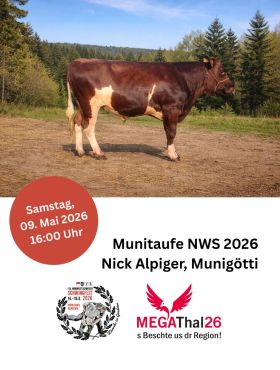 Mit grosser Vorfreude dürfen wir euch zu einem ersten Highlight vor dem NWS 2026 einladen!🤩🌿
Die symbolträchtige Munitaufe steht bevor.🐂 Als Munigötti konnten wir den erfolgreichen Schwinger @alpigernick gewinnen. 

Dieses besondere Ereignis dürfen wir mit der Gewerbeausstellung MEGAThal26 verbinden. Das Organisationskomitee wird mit einem eigenen Stand bei der Badmintonhalle präsent sein und freut sich darauf, euch dort persönlich begrüssen zu dürfen. 

⏰ Wann: Am Samstag, 09. Mai 2026, 16:00 Uhr 
📍 Wo: MEGAThal26, Moos, 4710 Balsthal (Badmintonhalle)

#munitaufe #nws2026